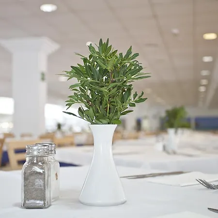 Aparthotel Hyb Eurocalas Calas de Mallorca