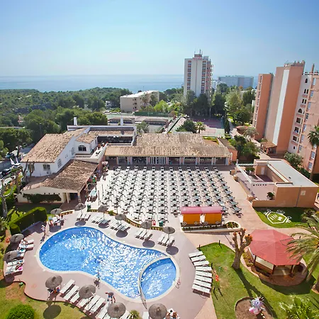 Hyb Eurocalas 4*